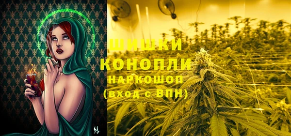 дмт Елабуга
