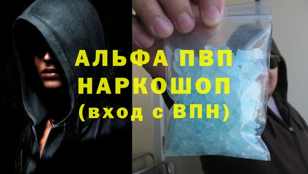гашик Дмитриев