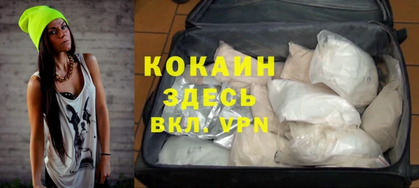 гашик Дмитриев