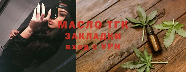 гашик Дмитриев
