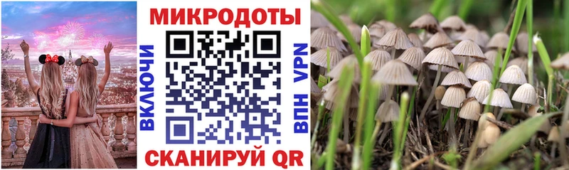 Псилоцибиновые грибы прущие грибы  Приозерск 
