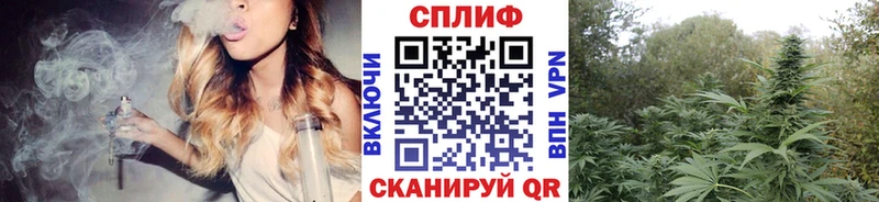 Бошки Шишки MAZAR  Приозерск 